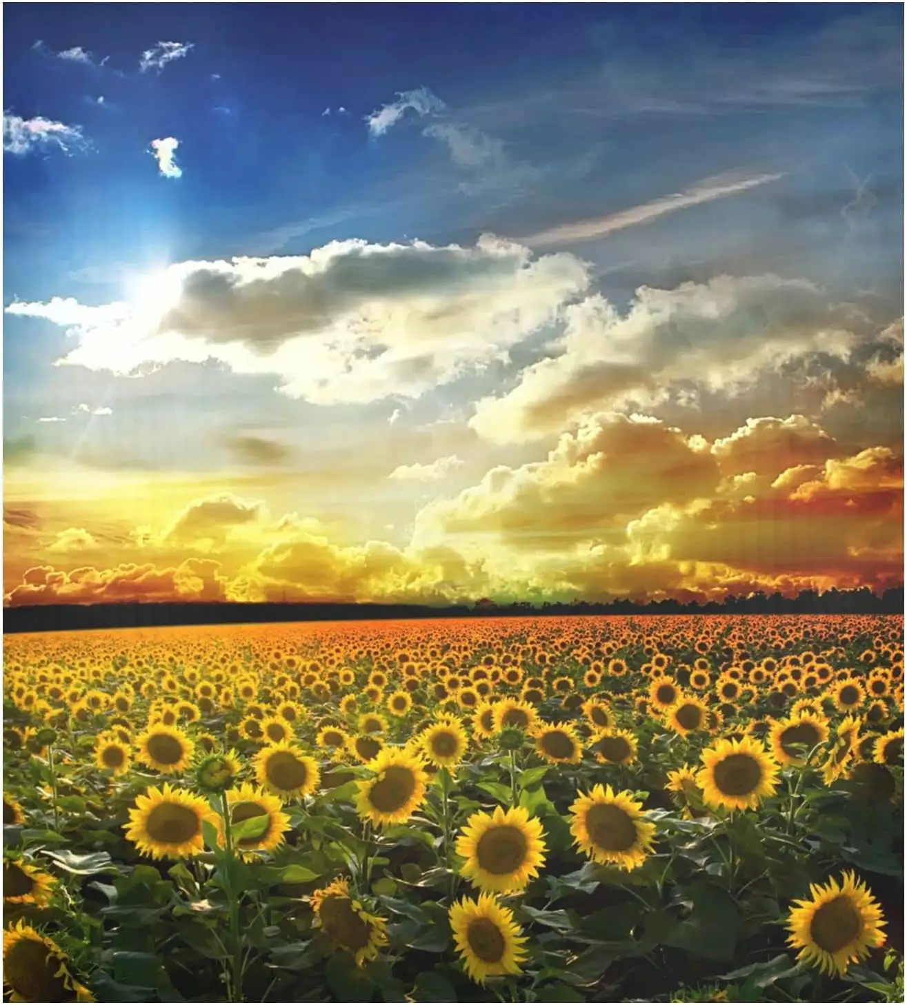 SKYSONIC Sunflower Flower Field at Sunset Large Dishwasher Magnet Magnetic Cover 23x26 in Refrigerator Sticker Washer Kitchen Decor